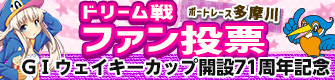 ドリーム戦ファン投票