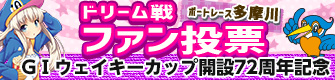 ドリーム戦ファン投票